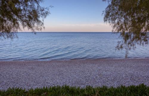 Paralia Agias Fotinis Apartment | Aliki Studios