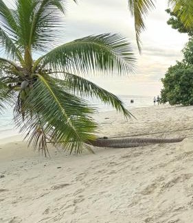 Felidhoo Hotel | Alimas Holiday Retreat Maldives