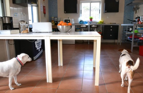 Aljezur House | Aljezur Villas
