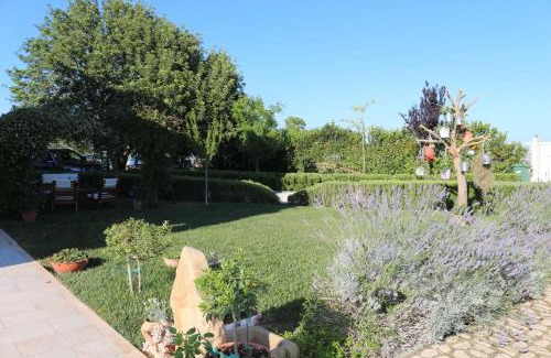 Bernalda Bed & Breakfast | All'ombra del Carrubo - Metaponto