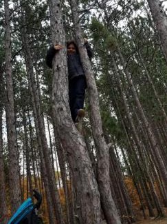 South Algonquin Resort | All Star Resort
