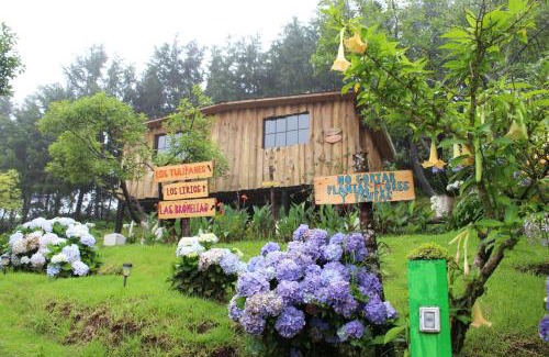 La Palma Cabin | Alla Arriba