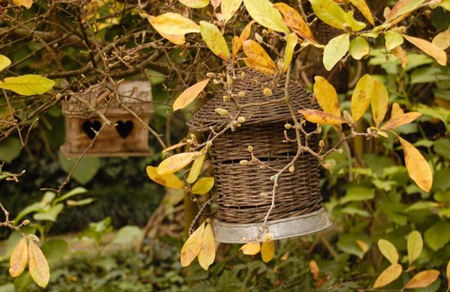 Asola Bed & Breakfast | Alle Fronde
