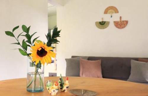 Gomez Plata House | Allegra