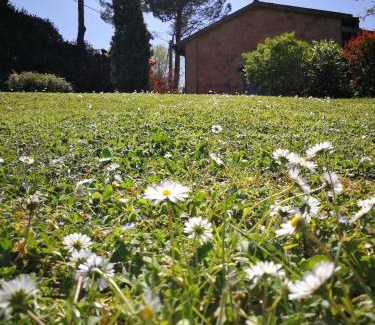 Longiano Bed & Breakfast | Alloggio Al San Girolamo
