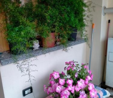 Casaltone Apartment | Alloggio Livia