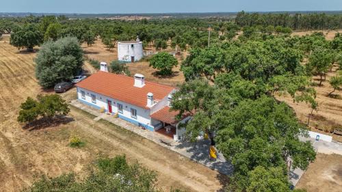 Vale de Santiago House | Alma Alentejo Villa