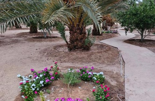 Mada'in Saleh Hotel | Almazham hotel room resort