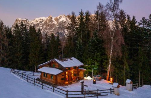 Werfen House | Almfrieden