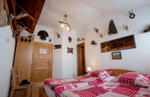 Ebensee House | Almhaus Dachsteinblick am Feuerkogel