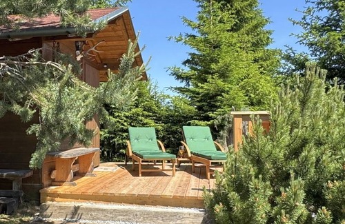 Schoenberg-Lachtal House | Almnest - Lachtal - Ferienhaus, Dusche, WC, Sauna