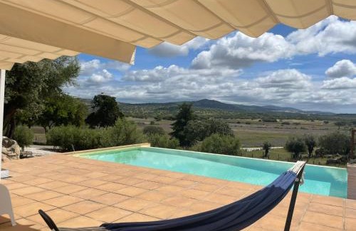 Fortios House | Almojanda 3 olive tree