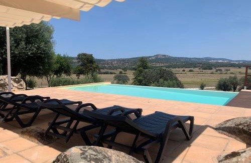 Fortios House | Almojanda 3 olive tree