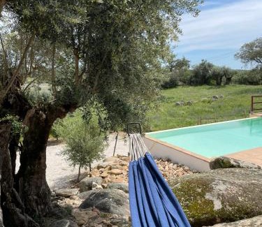 Fortios House | Almojanda 3 olive tree