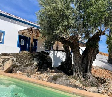Fortios House | Almojanda 3 olive tree