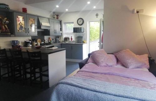 Donegal Apartment | Almost Heaven - 4 min drive from Donegal Town