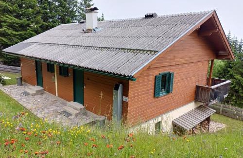 Wolfsberg Apartment | Almzeit Klippitz
