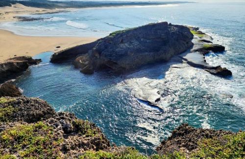 East London Apartment | Aloe Breeze Cove Rock