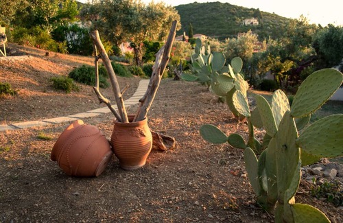 Steni Vala Apartment | ALOE STUDIO - Flower Houses in Alonissos island