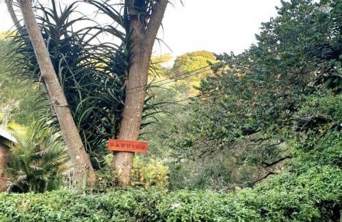 Ethekwini Apartment | AloeViewCottage - Private Quiet & so Tranquil