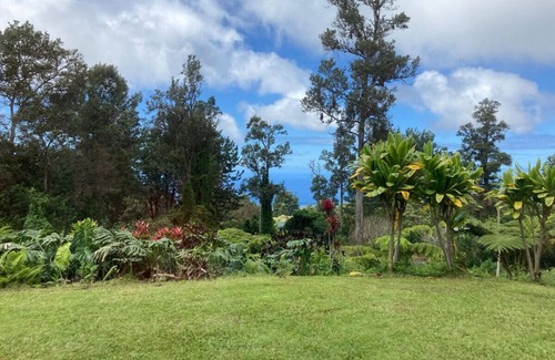 Kailua-Kona Condo | Aloha Suites ~ 2 Bedrooms~ Cloud Forest