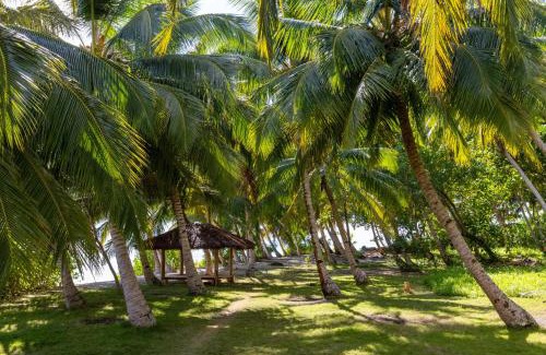 Pulau Silabok Resort | Aloita Resort Mentawai