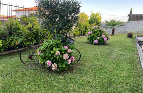 Mirandela House | Alojamento, Chelas Rural AL