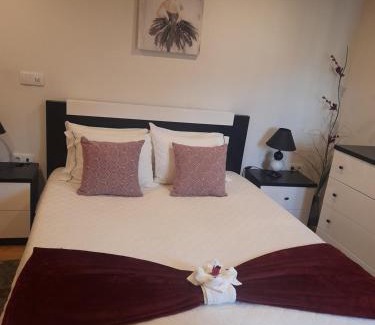 Melo Apartment | Alojamento Pelourinho