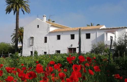Lucena Apartment | Alojamiento Las Palmeras