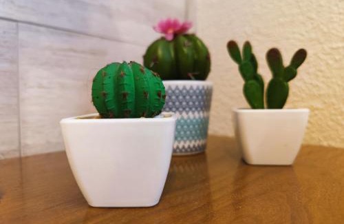 Aranda de Duero Apartment | ALOJAMIENTO MIRABUENOS