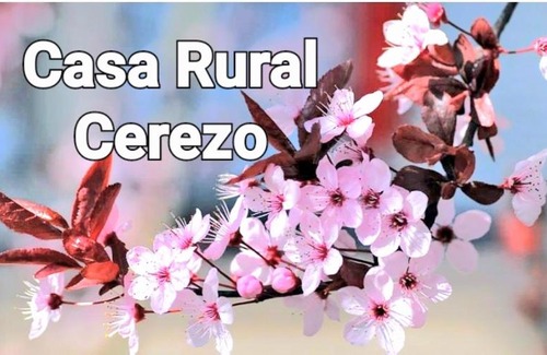 Campos del Rio Apartment | ALOJAMIENTO RURAL CEREZO