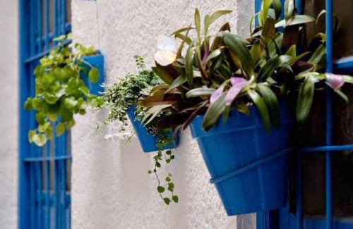 Murcia Apartment | Alojamiento Simón 3