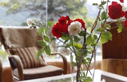 San Jose Apartment | Alojaminto Ester González