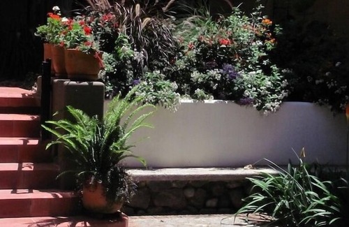 San Blas Apartment | Alpaca! Charming one-bedroom apartment