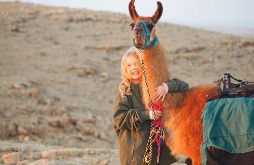 Mitzpe Ramon House | Alpaca Farm - חוות האלפקות