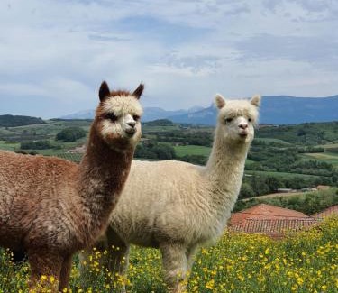 Saint-Antoine-l'Abbaye Bed & Breakfast | ALPAGAS DU DOMAINE MAEL