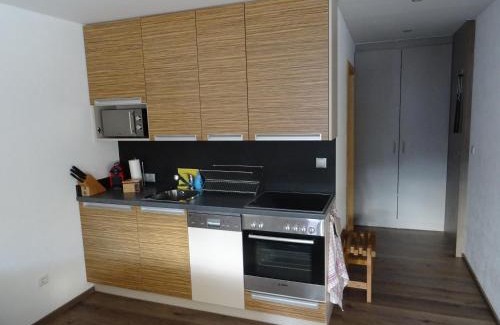 Ellboegen Apartment | Alpapart - Innsbruck