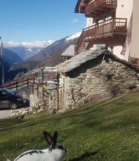 Bionaz Bed & Breakfast | Alpe Rebelle
