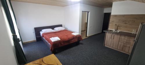 Yablunytsya Bed & Breakfast | Alpen Krokus