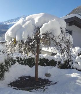 Umhausen Apartment | Alpenappartement Sonne