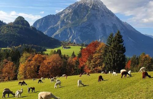 Stainach-Purgg House | Alpenchalet im Steirischen Salzkammergut