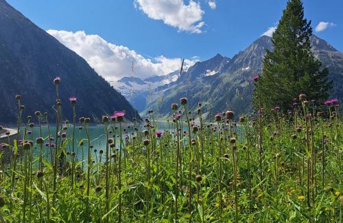 Dornauberg Ski Chalet | Alpenchalet Lengau