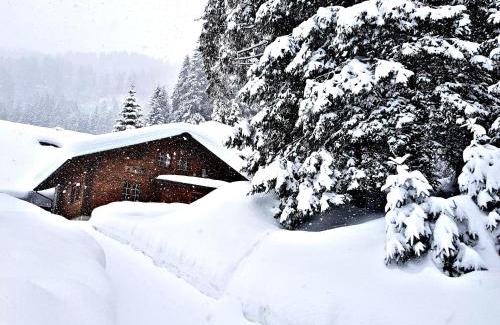 Schattenhalb Ski Chalet | Alpenlodge