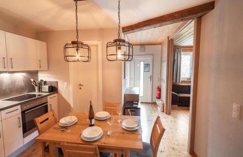 Viehhofen Apartment | Alpensteinbock Saalbach D