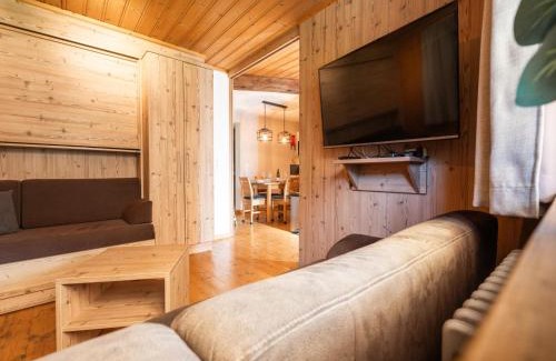 Viehhofen Apartment | Alpensteinbock Saalbach D