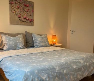 Neuchatel Apartment | Alpes Rez