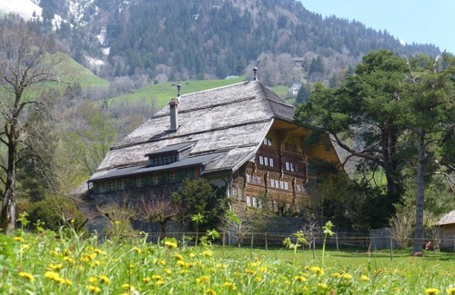Chateau-d'Oex Apartment | Alpine Apartment with Stunning Views