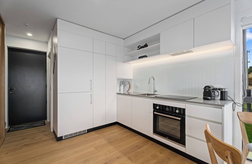 Albert Town House | Alpine Grandview Luxury Townhouse - Explore Wanaka