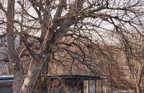 Khancoban Hotel | Alpine Inn