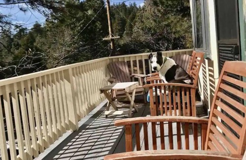 Twin Peaks Ski Chalet | Alpine Mountain Chalet